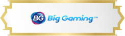 BIG GAMING
